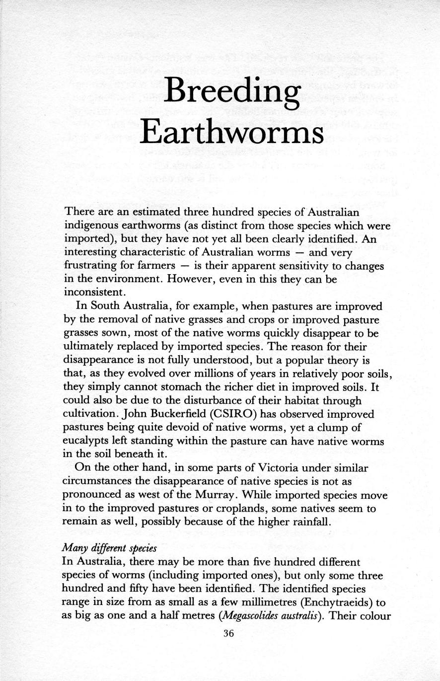 Earthworms in Australia