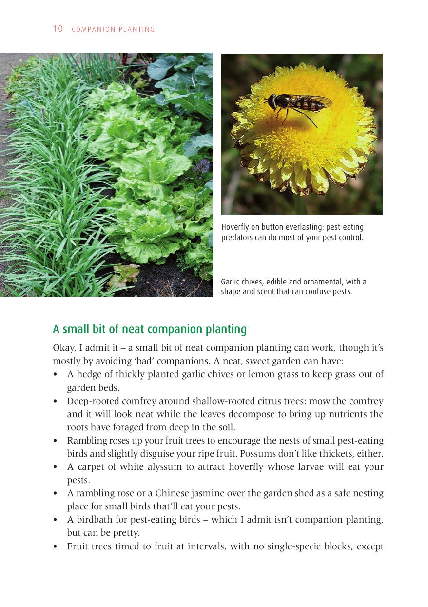 Jackie French's Guide Companion Planting
